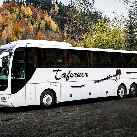 MAN Linons Coach 