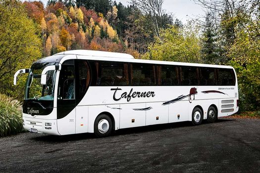 MAN Linons Coach 